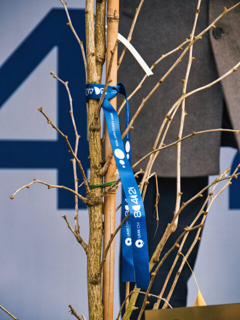 Uroczystość zasadzenia miłorzębu japońskiego z okazji Roku Jubileuszy CM UMK