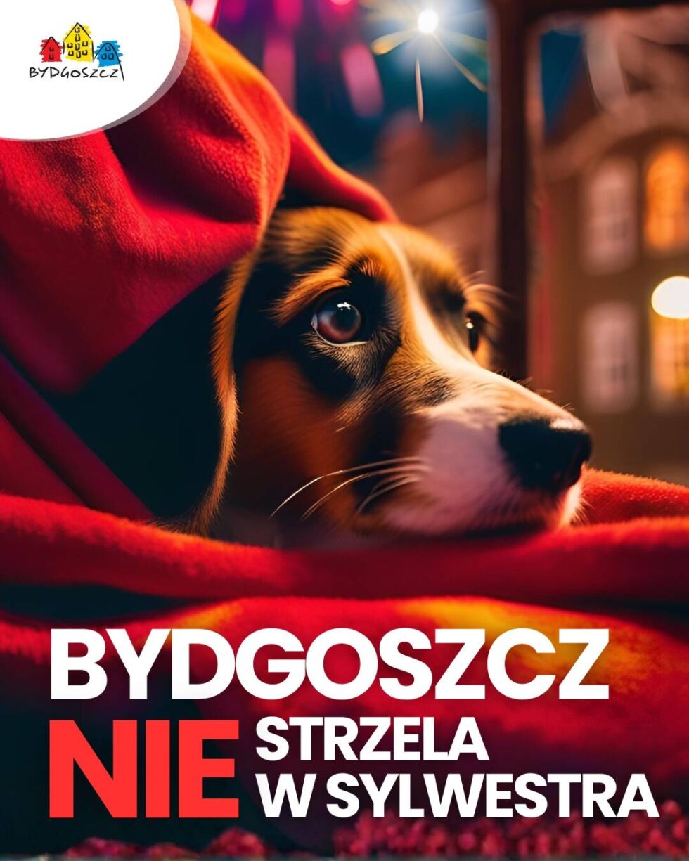 Bydgoszcz nie strzela w sylwestra – przyłącz się do akcji