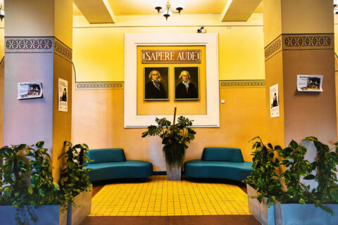 Komfortowo i zielono na korytarzach VI Liceum Ogólnokształcącego w Bydgoszczy