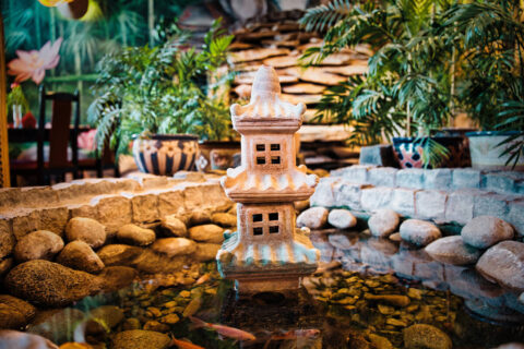 Restauracja Orientalna Rong Vang