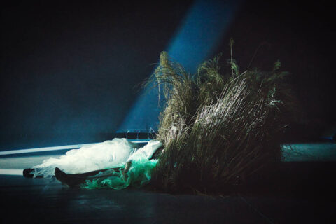 Wichrowe Wzgórza. Love To Die