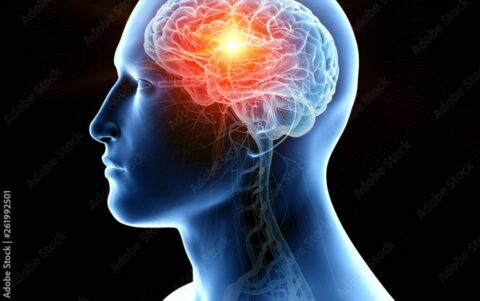 Tydzień Mózgu w Młynach Rothera. 