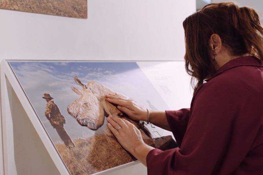 Niewidzialny świat w Bydgoszczy. Wystawa, którą można oglądać nie widząc