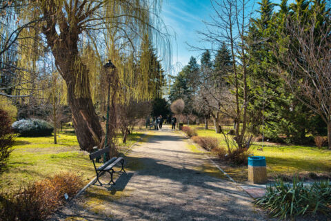 Ogród Botaniczny UKW