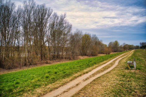 Wał przeciwpowodziowy w Fordonie