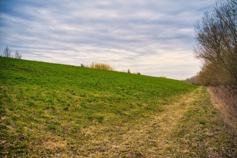 Wał przeciwpowodziowy w Fordonie