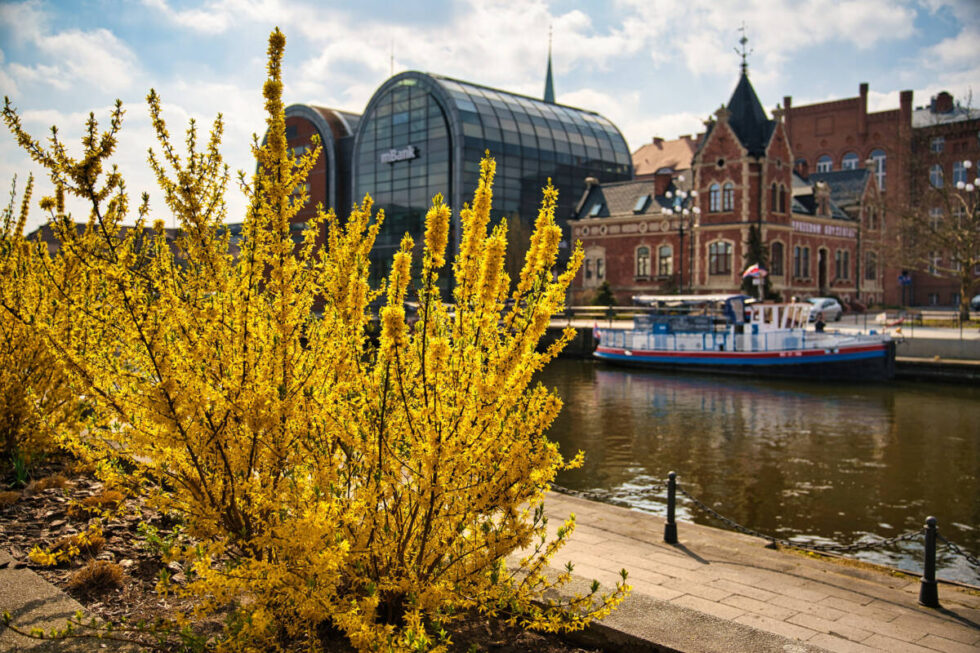 Majówka w Bydgoszczy. Pikniki, kiermasze,  koncerty i wyprawy – od Starego Rynku do Myślęcinka [CO, GDZIE I KIEDY]