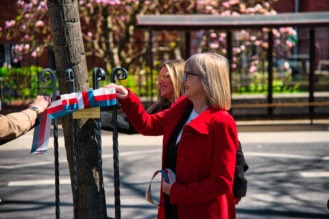 Dąb Króla Kazimierza Wielkiego