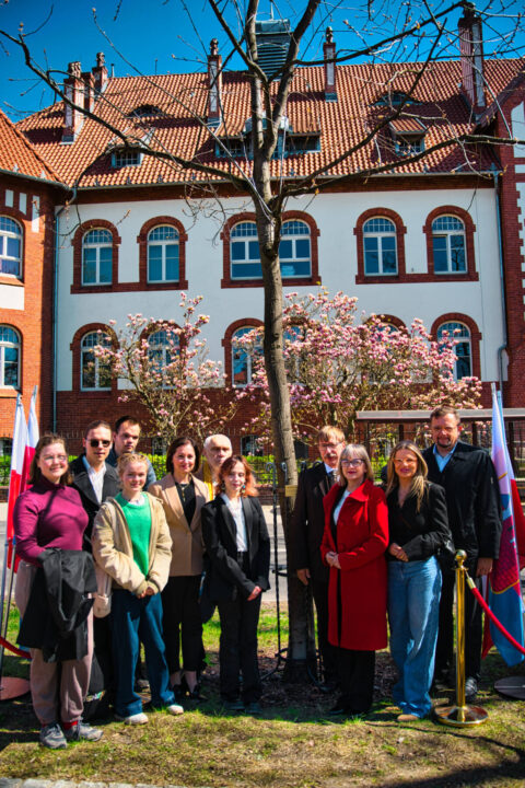 Dąb Króla Kazimierza Wielkiego