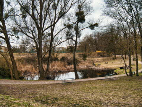 Stawy na Osowej Górze