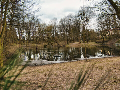 Stawy na Osowej Górze