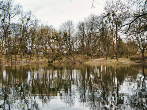 Stawy na Osowej Górze