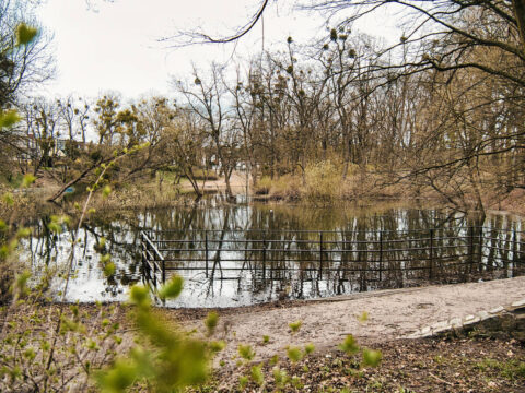 Stawy na Osowej Górze