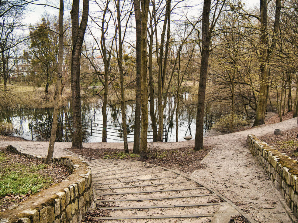 Bagrowanie na Osowej Górze – kolejne stawy do rewitalizacji