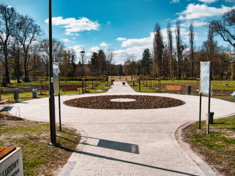 Park Witosa w nowej odsłonie. Więcej alei i zieleni dla mieszkańców. Miejsce wyciszenia w centrum miasta