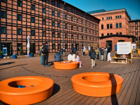 Mały Mistrz w akcji