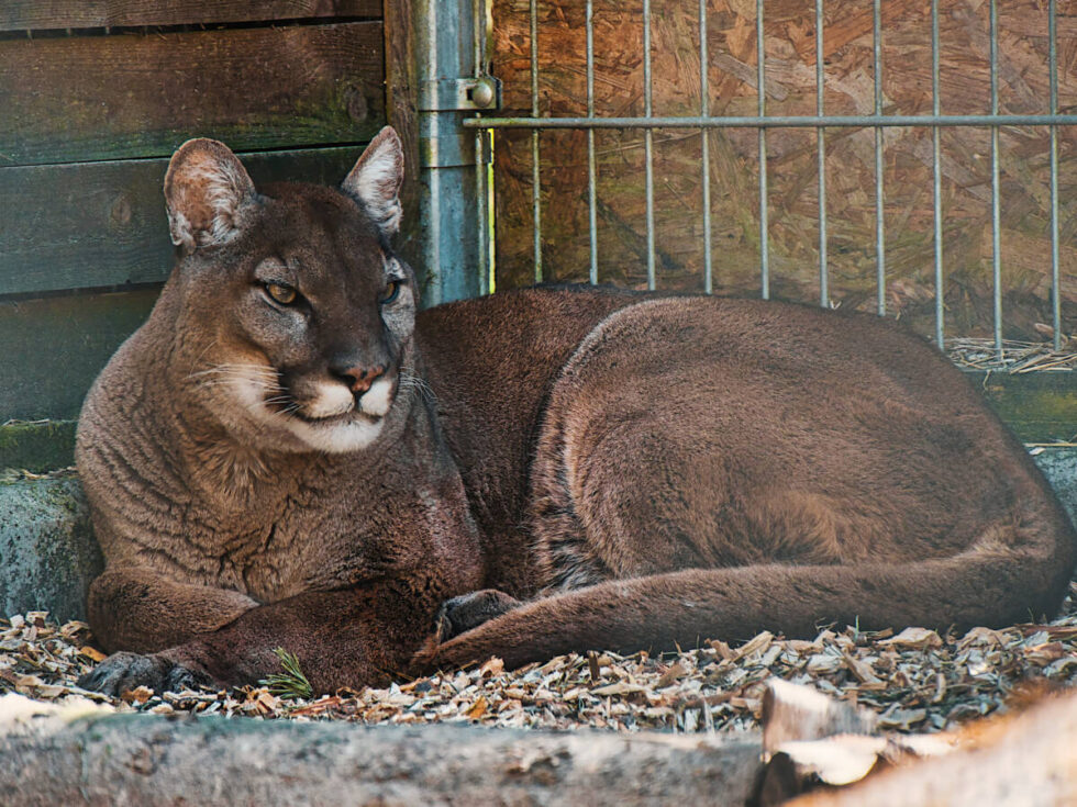 Majówka w Bydgoszczy. Pikniki, kiermasze,  koncerty i wyprawy – od Starego Rynku do Myślęcinka [CO, GDZIE I KIEDY]