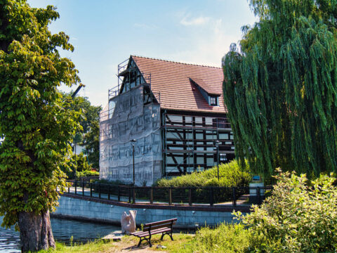 Zbiory Archeologiczne - Muzeum Okręgowe