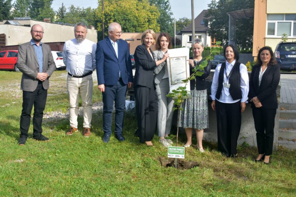 45 drzew na 45. rocznicę „Wujka”. Jedno z nich będzie rosło w Bydgoszczy