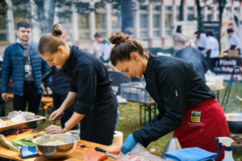 Kulinarny Piknik w centrum miasta