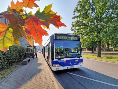 Wszystkich Świętych. Zmiany w ruchu, zamknięcia ulic, parkingi, bezpłatna i wzmocniona komunikacja publiczna [MAPY, SZCZEGÓŁY]